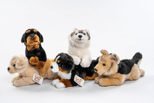 56) Hunde (5-er Sortiment)