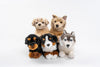 56) Hunde (5-er Sortiment)