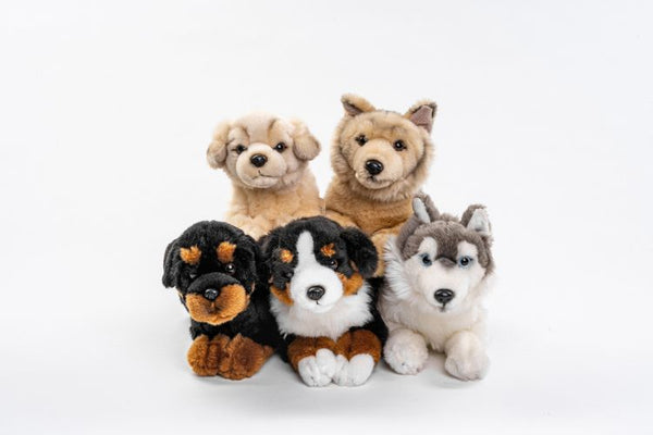 56) Hunde (5-er Sortiment)