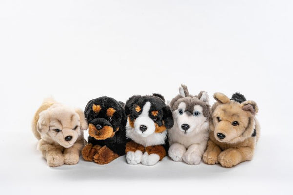56) Hunde (5-er Sortiment)