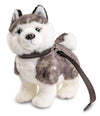 57) Huskystehend mit Leine