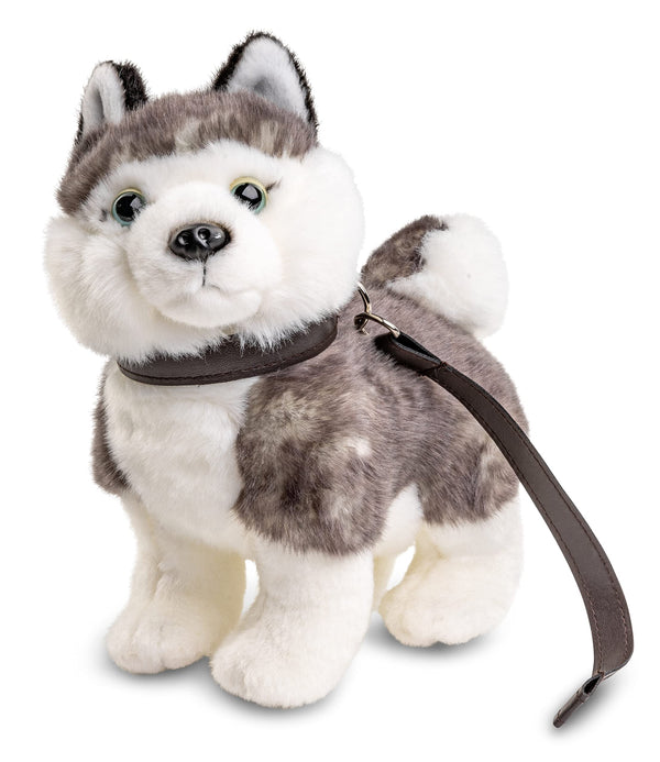57) Huskystehend mit Leine