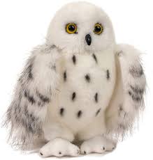 54) Schnee-Eule
