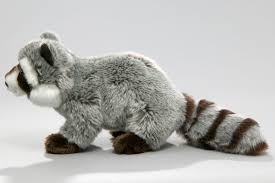 60) Waschbär